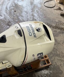 2005 Evinrude Etec 250 hp DFI Outboard Boat Motor Engine 30