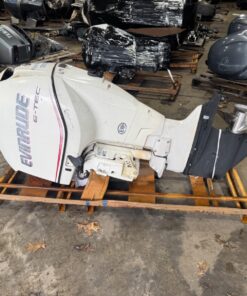 2005 Evinrude Etec 250 hp DFI Outboard Boat Motor Engine 30