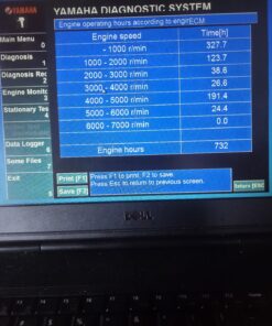 2007 Yamaha F250 Four stroke with 25