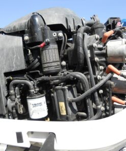 2012 Evinrude 200 ETEC Outboard 25