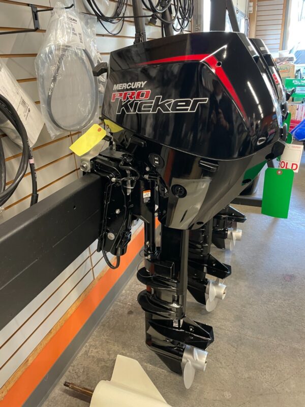 Mercury 9.9 MH 4-Stroke Outboard Motor – Manual Start, Tiller Handle & Portable Marine Engine