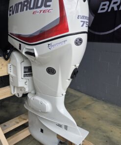Evinrude E-TEC 75HP/20