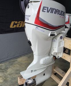 Evinrude E-TEC 75HP/20