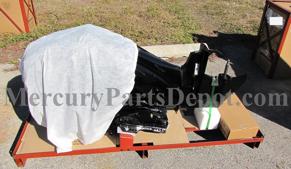 New 2022 Mercury 25HP ELPT FourStroke EFI Model Outboard Engine
