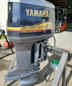 2001 Yamaha 250 HP 6-Cylinder EFI 2-Stroke 25"(X) Outboard Motor
