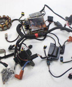 587489 Evinrude E-TEC 2010+ Complete Ignition 15 25 30 HP 2-Cyl 1 Yr Wty