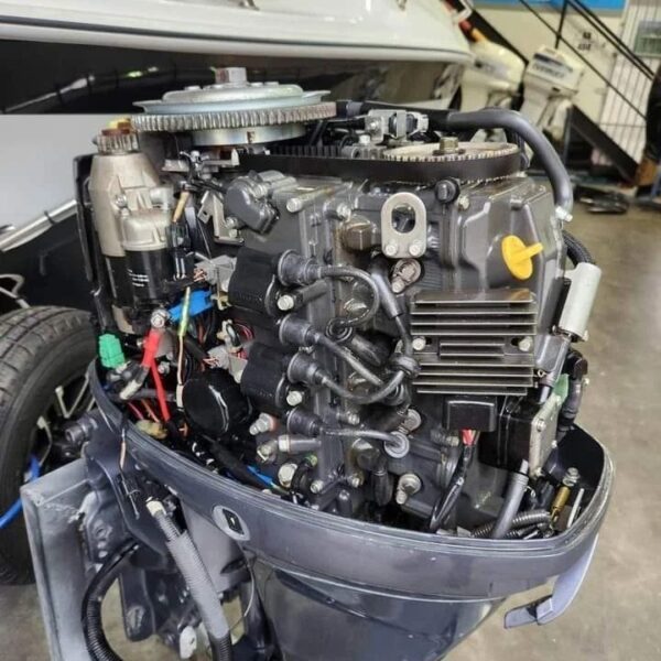 2016 Yamaha 20 HP 4-Stroke Tiller Outboard Motor - Alpha Marine Outboards