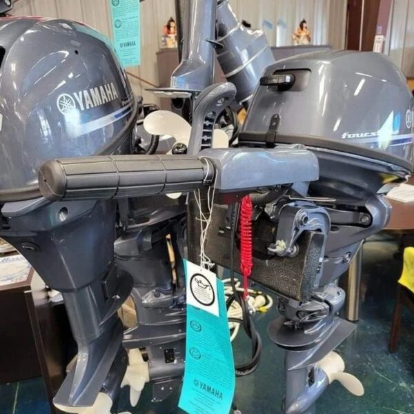 2016 Yamaha 20 HP 4-Stroke Tiller Outboard Motor - Alpha Marine Outboards
