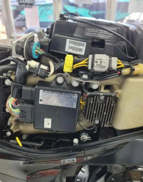 2019 Mercury 25 HP 4-Stroke Outboard Motor - Alpha Marine Outboards