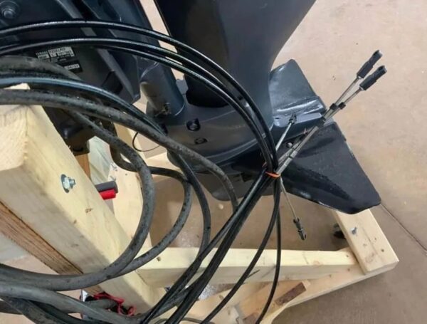 2019 Mercury 25 HP 4-Stroke Outboard Motor - Alpha Marine Outboards