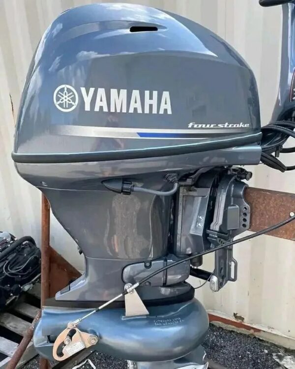 2019 Yamaha 30 HP 4-Stroke Jet Pump Tiller Outboard Motor - Alpha Marine Outboards