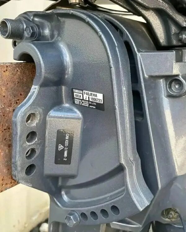 2019 Yamaha 30 HP 4-Stroke Jet Pump Tiller Outboard Motor - Alpha Marine Outboards