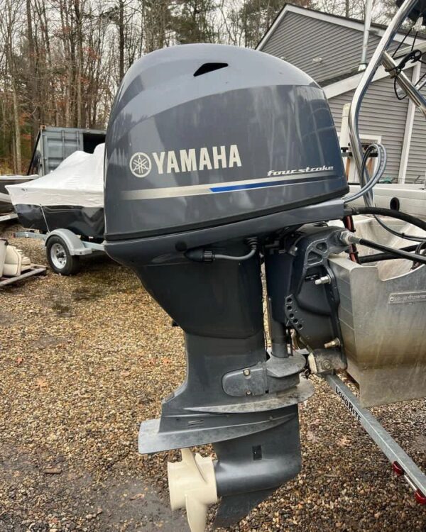 2020 Yamaha 50 HP 4-Stroke Outdoor Motor - Alpha Marine Outboards